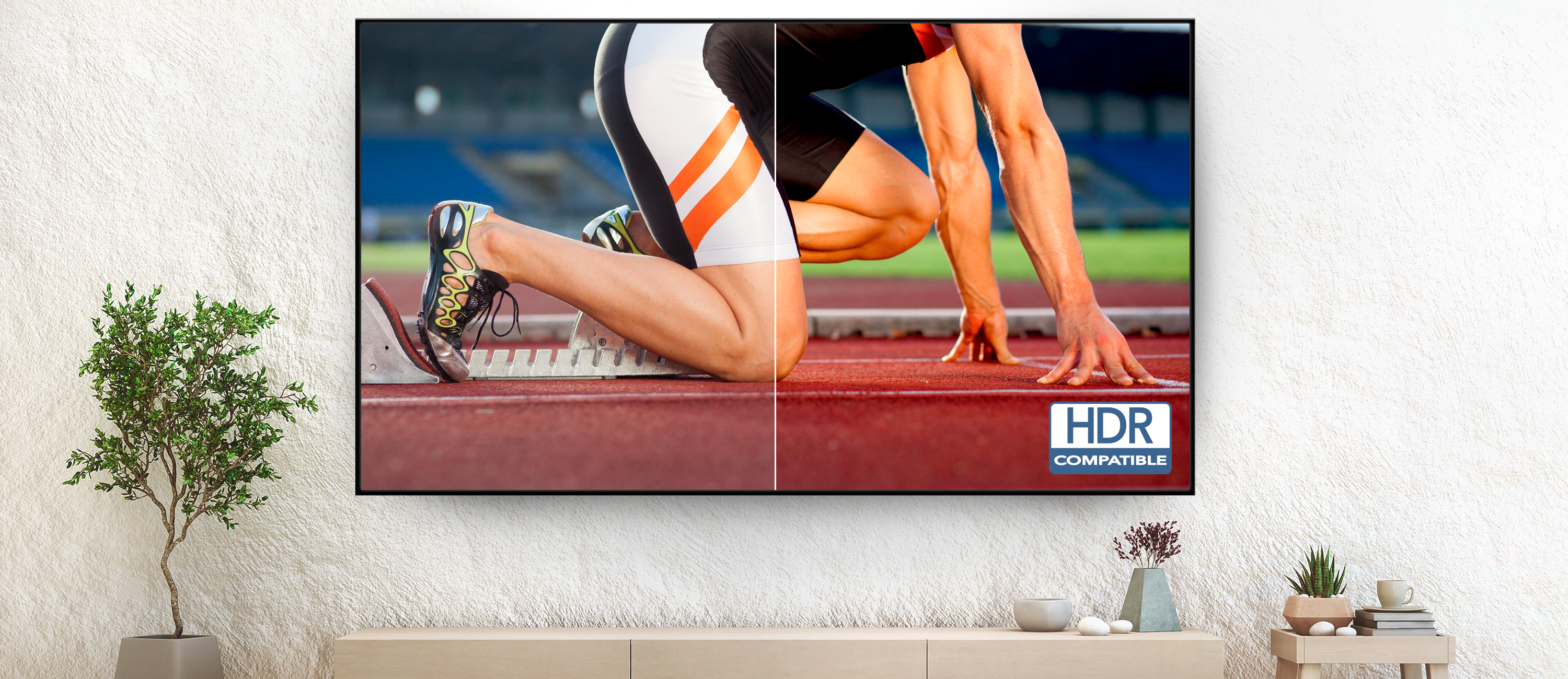 Optoma HDR